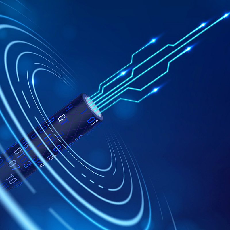 Lianou Electric apresenta produtos inovadores na International Electrical Expo, liderando a tendência verde